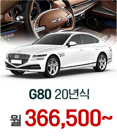 G80 20년식