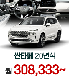 싼타페 20년식