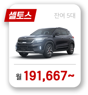 셀토스